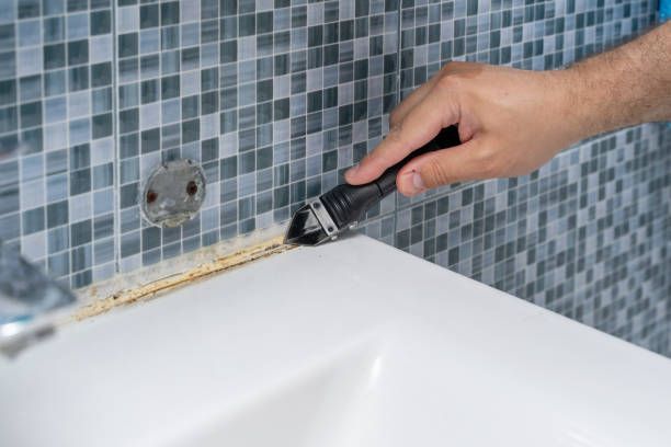 Best Kitchen Mold Remediation in Lincoln, AL
